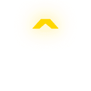 231