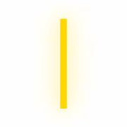 242
