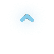 231