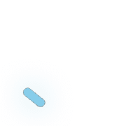 256