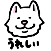 003