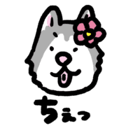 010