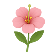 029