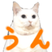 002