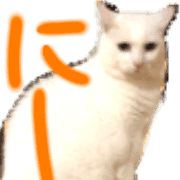 005