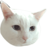 020