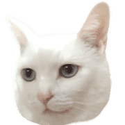 021