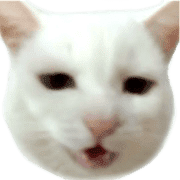 023