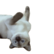 036