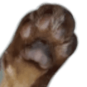 039