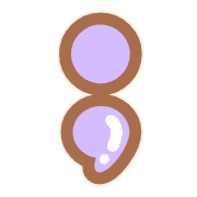 243