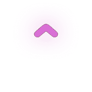 231