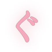 058