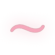 224