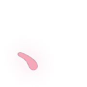 256