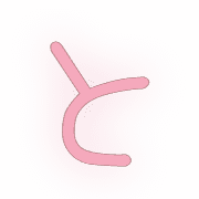 020