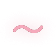 224