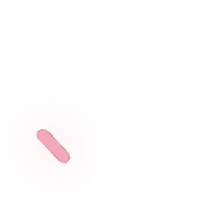 256