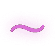 224