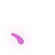 256
