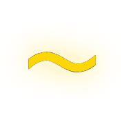 224