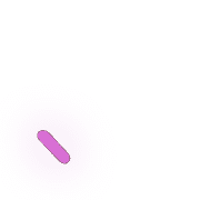 256