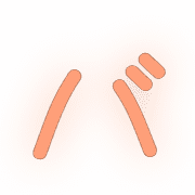 151