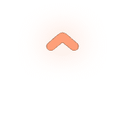 231