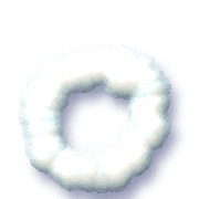 202