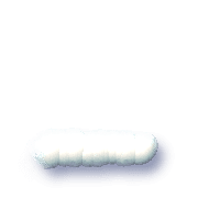 250