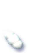256