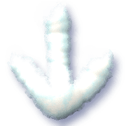 261