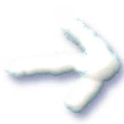 262