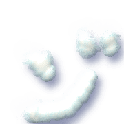305