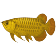 015