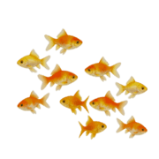 023