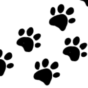 007