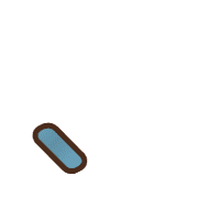 256