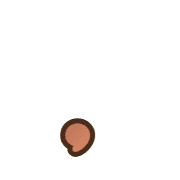 245