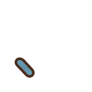 256