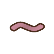 224