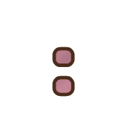 244