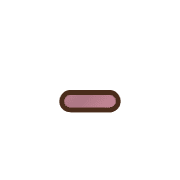 251