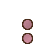 244