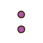 244