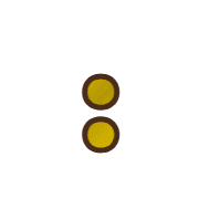 244