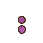 243