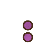 244