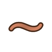 224