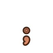 243